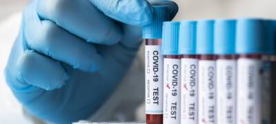 Минздрав признал, что в Карелии стал преобладать коронавирусный штамм «омикрон»