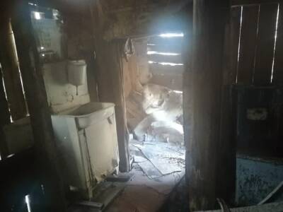 В Златоусте три сироты, у которых сгорел дом, не могут встать в очередь на получение жилья