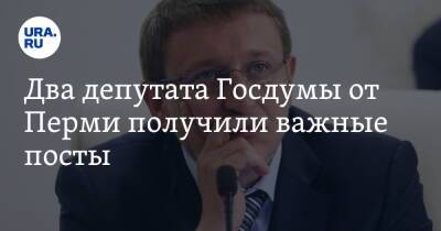 Два депутата Госдумы от Перми получили важные посты
