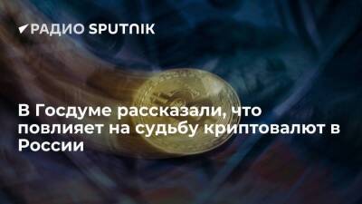 Владимир Путин - Константин Бахарев - В Госдуме рассказали, что повлияет на судьбу криптовалют в России - smartmoney.one - Россия