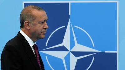 В случае вторжения России в Украину Турция будет действовать как член НАТО, – Эрдоган