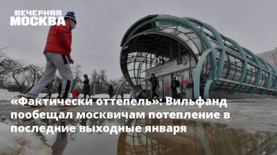 «Фактически оттепель»: Вильфанд пообещал москвичам потепление в последние выходные января