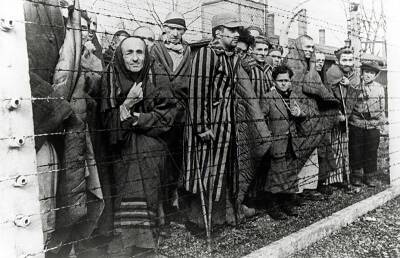 В ЕС рассказали об уроках Холокоста