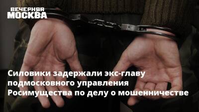 Силовики задержали экс-главу подмосковного управления Росимущества по делу о мошенничестве