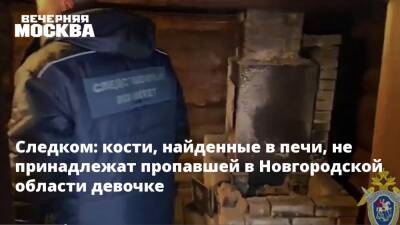Следком: кости, найденные в печи, не принадлежат пропавшей в Новгородской области девочке