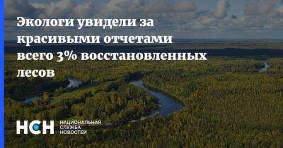 Алексей Ярошенко - Экологи увидели за красивыми отчетами всего 3% восстановленных лесов - nsn.fm - Россия - Экология
