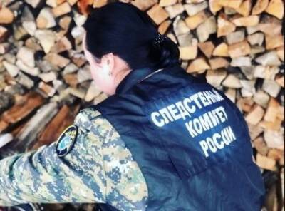 СКР: найденные в печи кости не принадлежат пропавшей в Новгородской области девочке