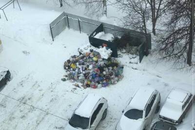 Во Владимире нарушен график уборки мусора