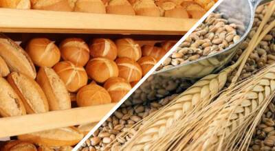 Як пов'язані рекордний експорт зерна та ціни на хліб в Україні