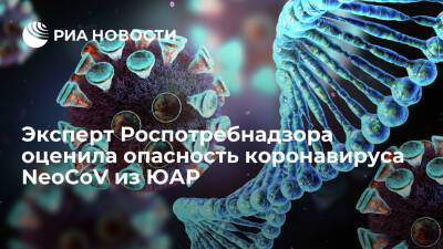 Эксперт Роспотребнадзора Черкашина: говорить о большой опасности коронавируса NeoCoV рано