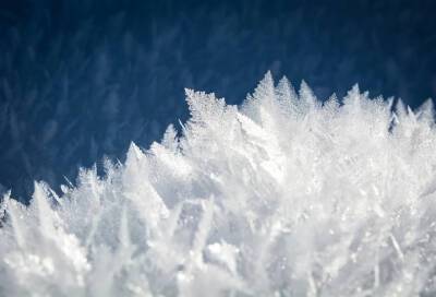 В Ленобласти 28 января обещают снегопады и небольшие морозы