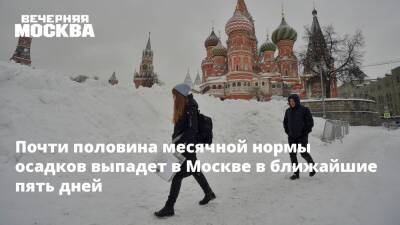 Почти половина месячной нормы осадков выпадет в Москве в ближайшие пять дней