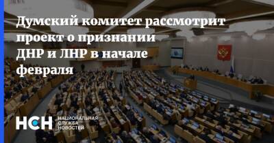 Думский комитет рассмотрит проект о признании ДНР и ЛНР в начале февраля