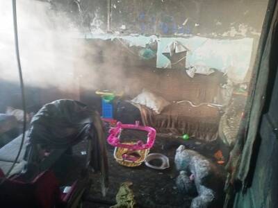 На Урале органы опеки были в квартире, где погиб ребенок, за час до начала пожара