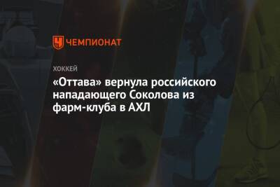 «Оттава» вернула российского нападающего Соколова из фарм-клуба в АХЛ