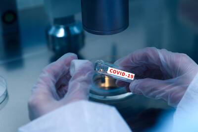 Китайские ученые сообщили о новом коронавирусе