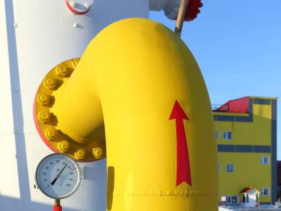 Европейские компании реэкспортировали в январе из Украины 90 млн м³ газа