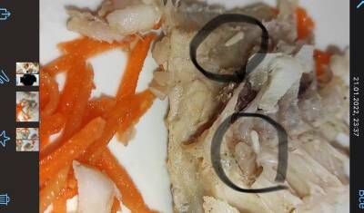 В Уфе в больничной еде для детей обнаружили опарышей