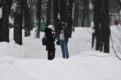 Тишковец предупредил москвичей о пятидневных снегопадах, начиная с 28 января
