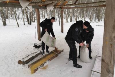 В Белгородской области организуют «лесные столовые» для диких животных