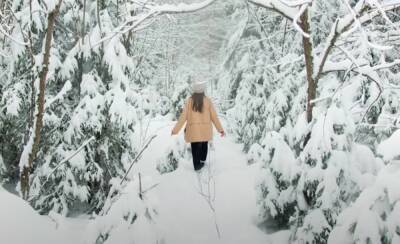 Идут сильный ветер, снегопады и морозы: синоптик Диденко предупредила о погоде 28 января – надвигается циклон