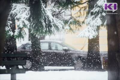 Погода в Коми на 28 января: южный ветер и небольшой снег
