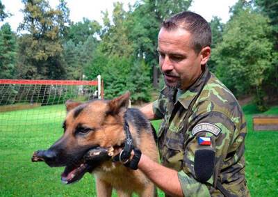 Чешскую армию раскритиковали за попытку продать пса-героя