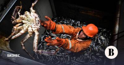 Добытчики крабов и морских ежей предупредили о массовых закрытиях предприятий