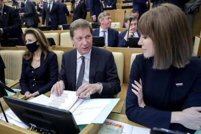 Депутат Госдумы рассказал, сколько зарабатывают парламентарии