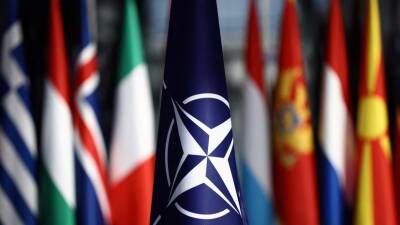Глава МИД ФРГ Бербок заявила, что вступление Украины в НАТО не значится в повестке дня