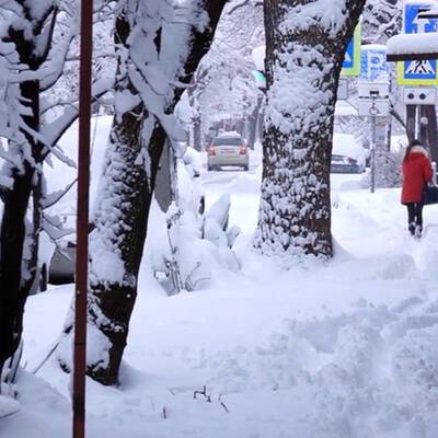 Циклоны «Мария» и «Надя» принесут в Москву пятидневные снегопады