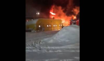 На нефтепроводе на Ямале случился сильный пожар