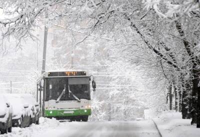Автобусное движение в Сочи частично ограничено из-за снегопада и гололеда - interfax-russia.ru - Сочи - Сочи