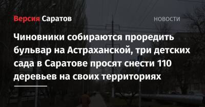 Чиновники собираются проредить бульвар на Астраханской, три детских сада в Саратове просят снести 110 деревьев на своих территориях