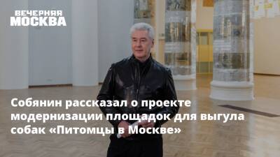 Собянин рассказал о проекте модернизации площадок для выгула собак «Питомцы в Москве»