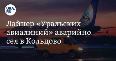 Лайнер «Уральских авиалиний» аварийно сел в Кольцово