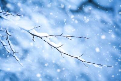 Жителей Ленобласти предупредили о снегопаде и сложной обстановке на дорогах 28 января