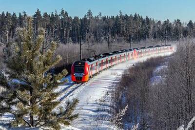 Стала известна стоимость поездки на «Ласточке» из Новосибирска в Барнаул в 2023 году