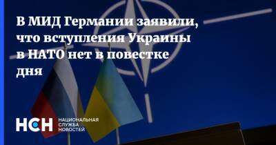 В МИД Германии заявили, что вступления Украины в НАТО нет в повестке дня