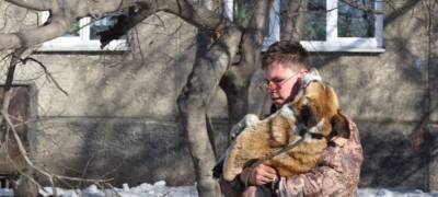 В Иркутске с начала января отловили 77 бездомных собак