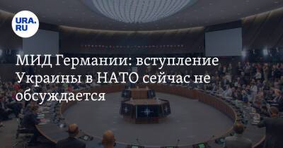 МИД Германии: вступление Украины в НАТО сейчас не обсуждается