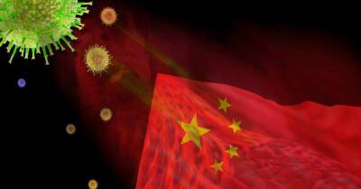 Чем угрожает миру вспышка высокопатогенного птичьего гриппа в Китае