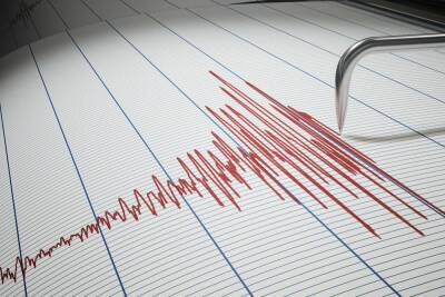 Новая система оповещения о землетрясения Службы Тыла: бежать придется быстро