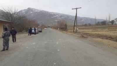 Таджикистан и Киргизия заявили о стабилизации обстановки на границе после перестрелки