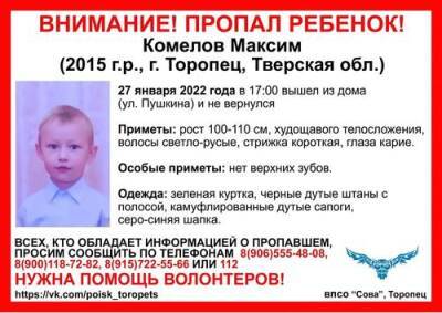 В городе Торопец Тверской области пропал семилетний мальчик Максим Комелов