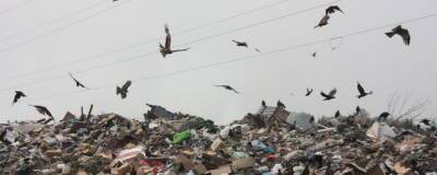 В ХМАО суд запретил использовать мусорный полигон, расположенный у аэропорта Советский