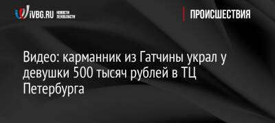 Видео: карманник из Гатчины украл у девушки 500 тысяч рублей в ТЦ Петербурга