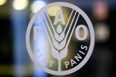 Цены на продовольствие в мире выросли до самого высокого уровня за последнее десятилетие - FAO (Эксклюзив)