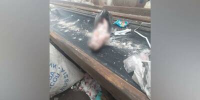 На мусоросортировочном заводе в Башкирии обнаружили замороженный труп младенца