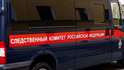 Пропавший семилетний мальчик в Тверской области найден живым